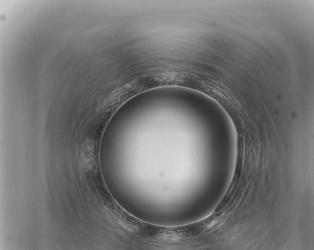 X0000060760416200511171153