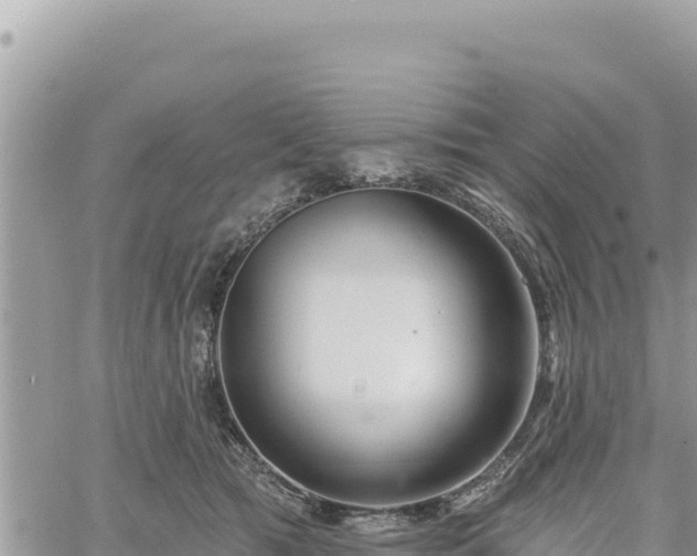 X0000060760417200511171153