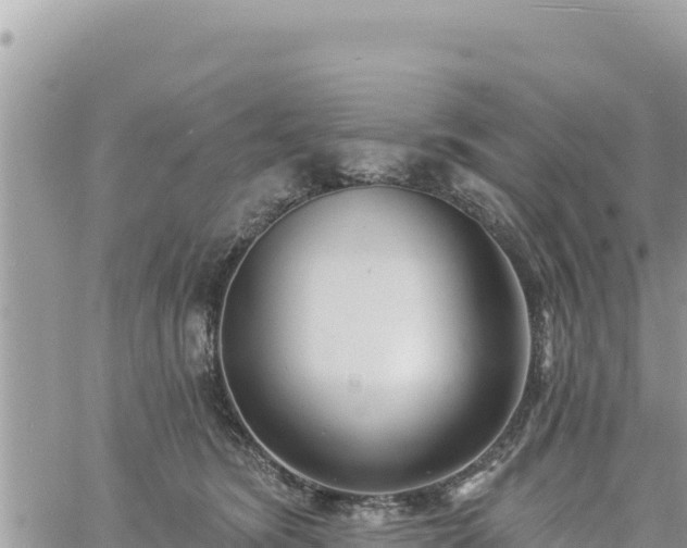 X0000060760420200511171153