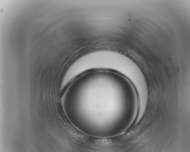 X0000060760421200511171153