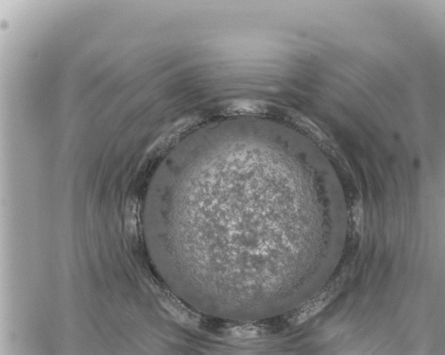 X0000060760423200511171153