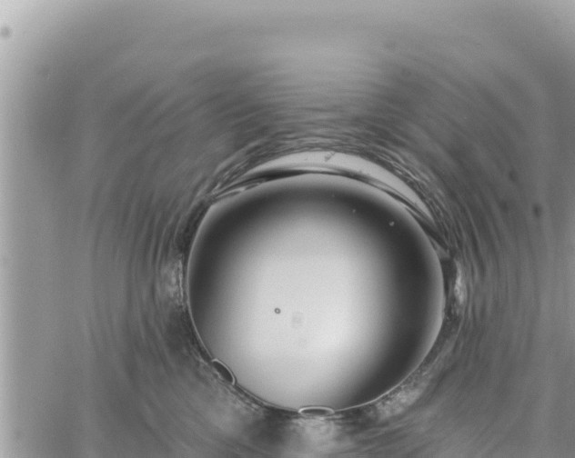 X0000060760425200511171153