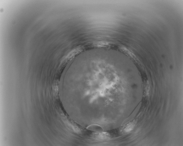 X0000060760427200511171152