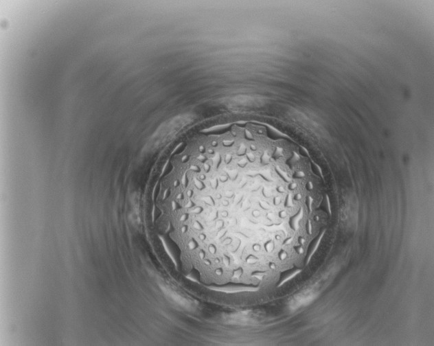 X0000060760430200511171152