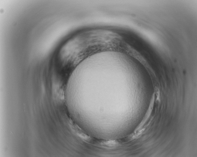 X0000060760431200511171152