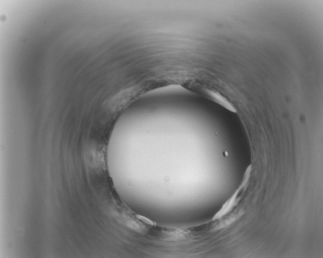 X0000060760432200511171152