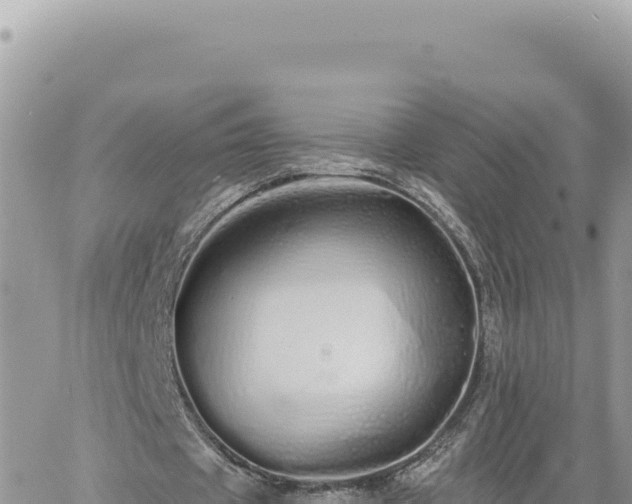 X0000060760433200511171152