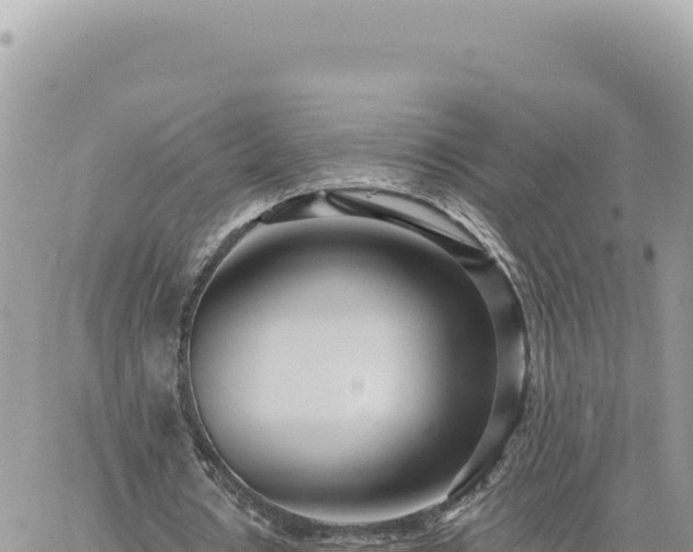 X0000060760434200511171152