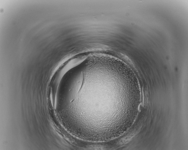 X0000060760435200511171152