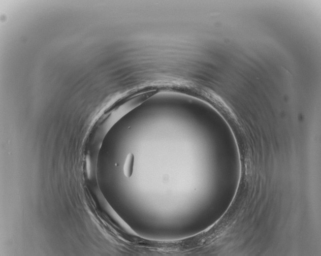 X0000060760436200511171152