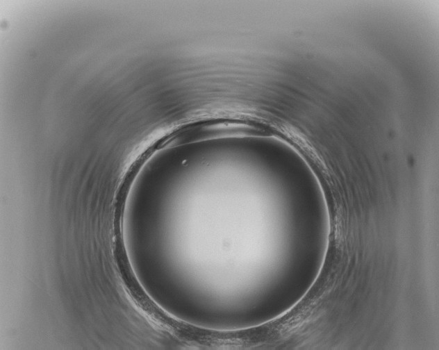 X0000060760438200511171152