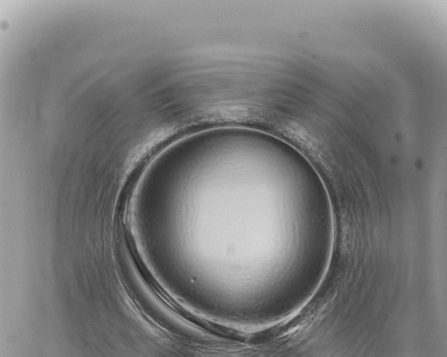 X0000060760439200511171152