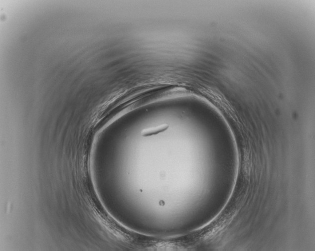 X0000060760441200511171152