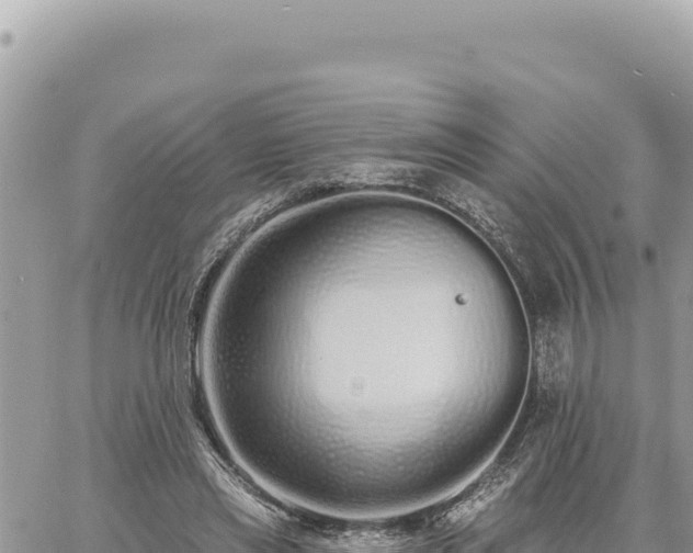 X0000060760445200511171152