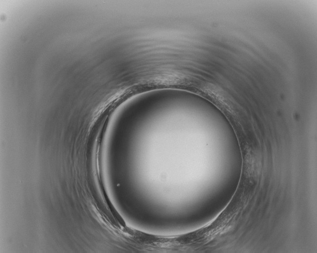 X0000060760446200511171152