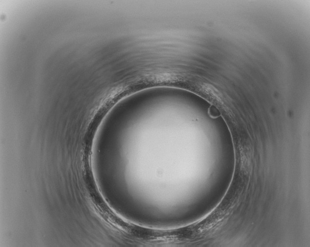 X0000060760447200511171152