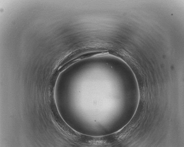 X0000060760448200511171152