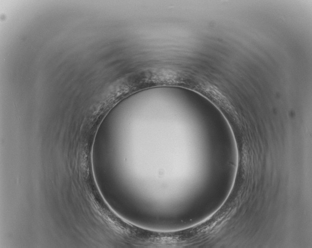 X0000060760449200511171152