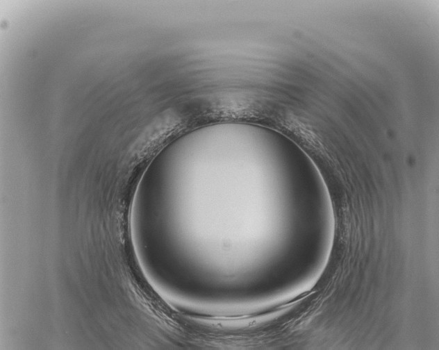 X0000060760450200511171152