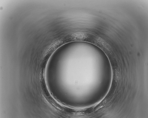 X0000060760451200511171152