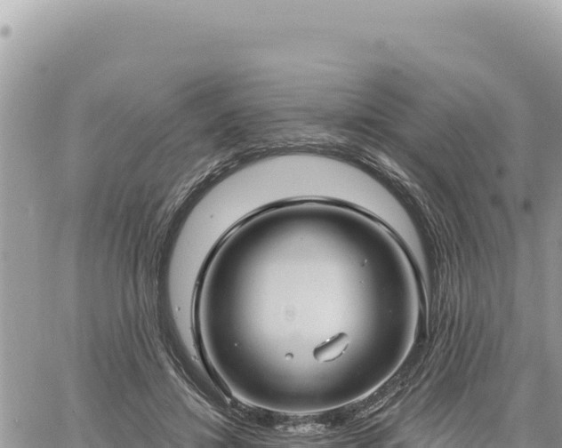 X0000060760452200511171152