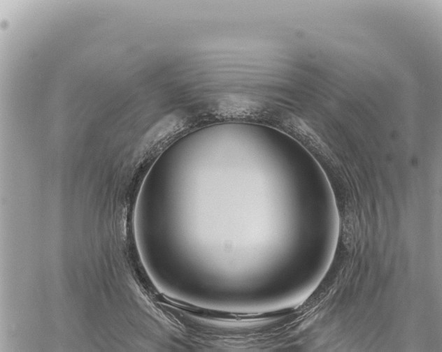 X0000060760454200511171152