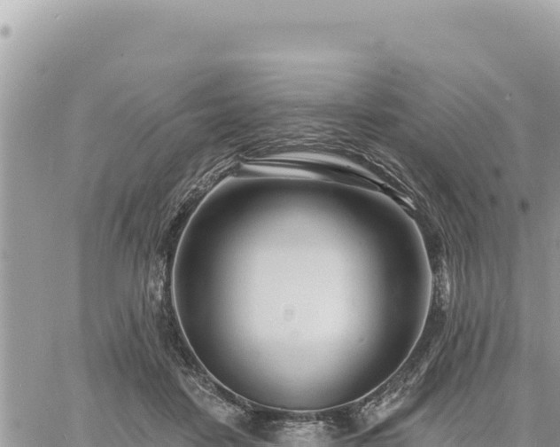 X0000060760458200511171152