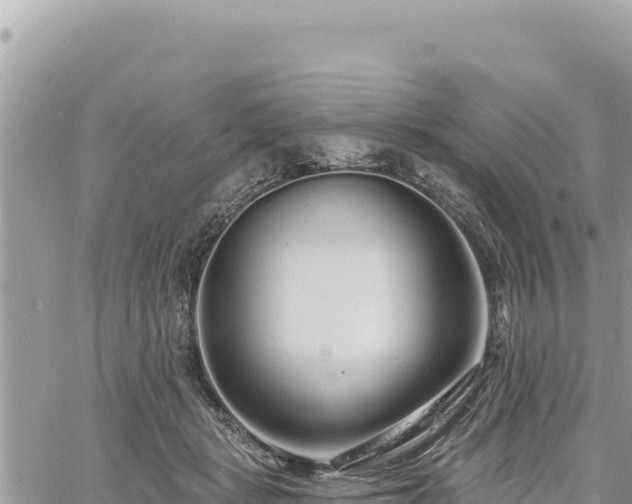 X0000060760461200511171152