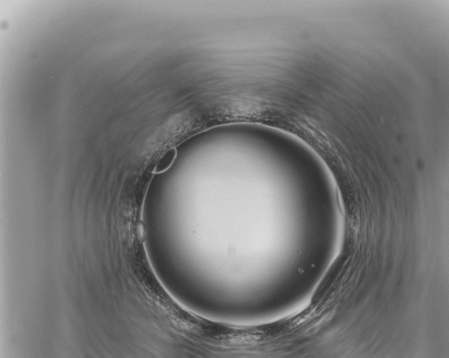 X0000060760462200511171152