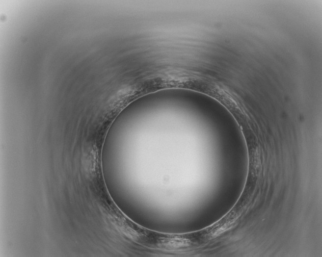 X0000060760463200511171152