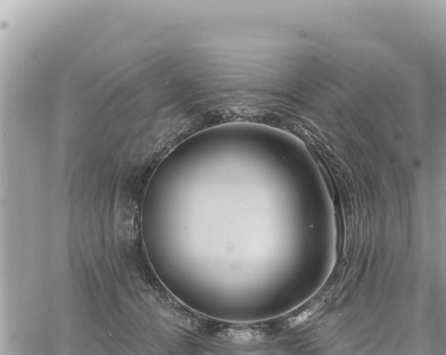 X0000060760464200511171152