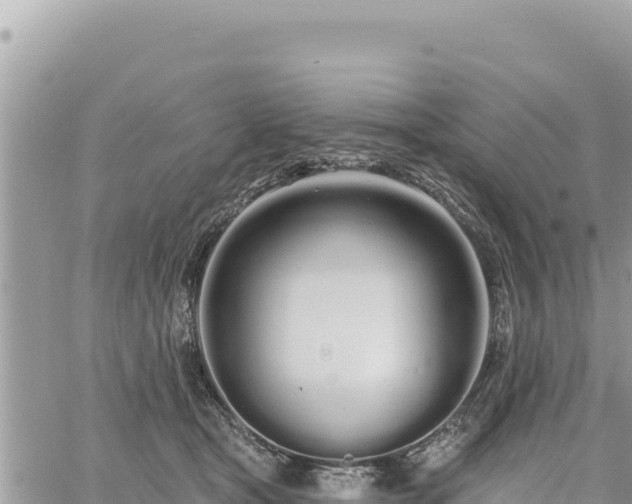 X0000060760465200511171152