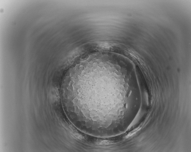 X0000060760467200511171152