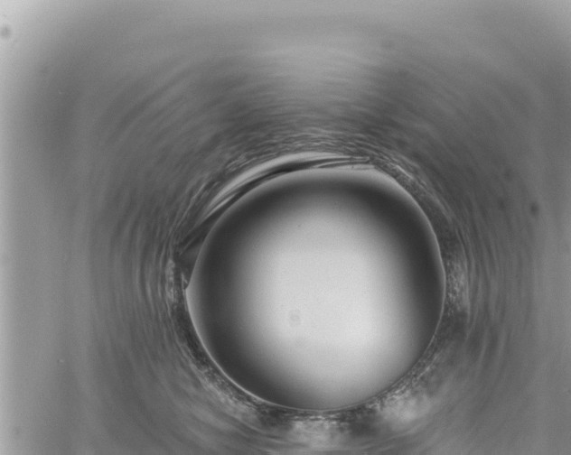 X0000060760470200511171152