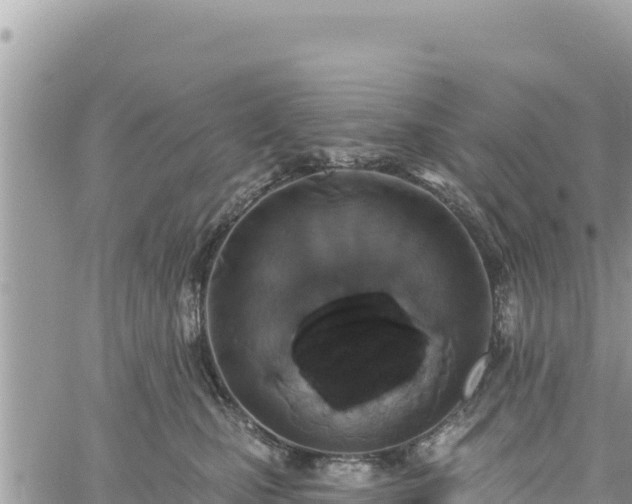 X0000060760471200511171152