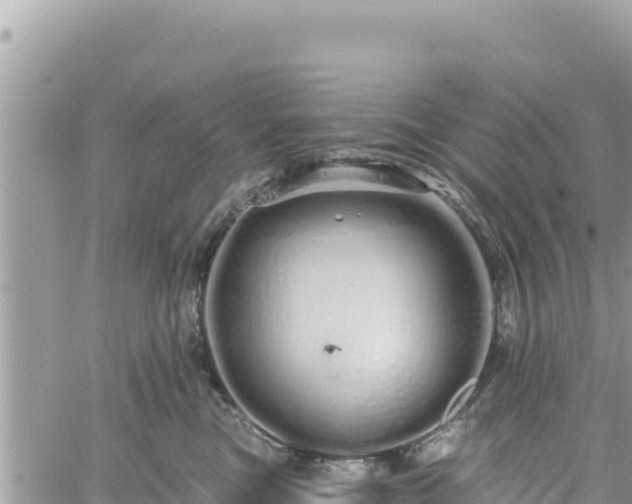 X0000060760473200511171152