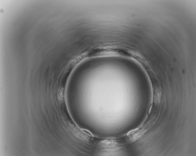 X0000060760477200511171152