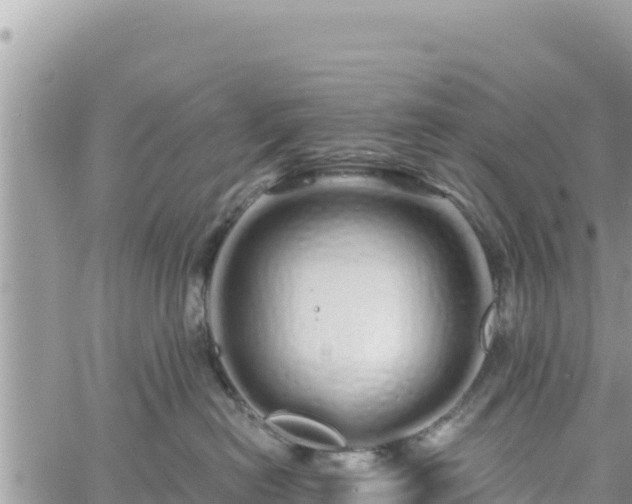 X0000060760478200511171152