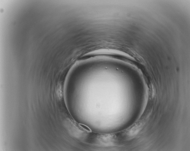 X0000060760479200511171152