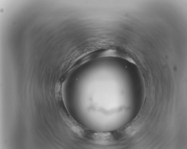 X0000060760480200511171152