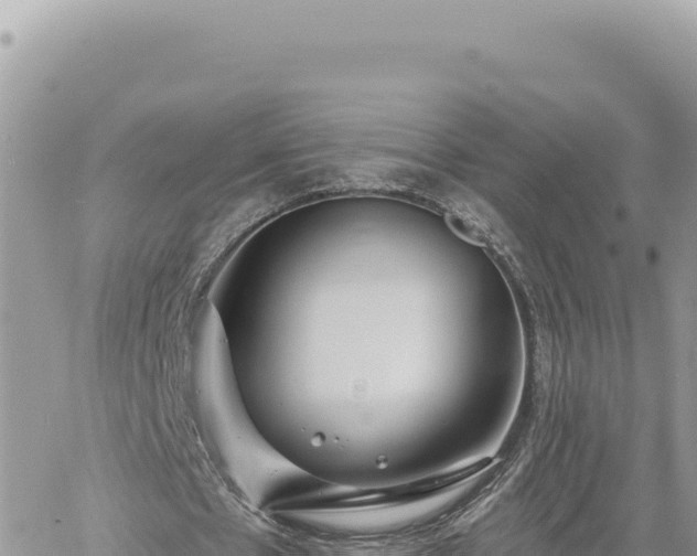 X0000060760481200511171152