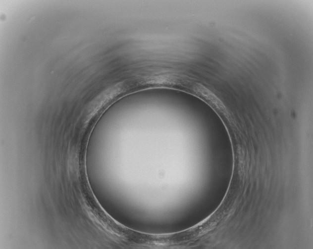 X0000060760482200511171152