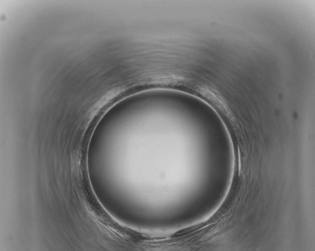 X0000060760483200511171152