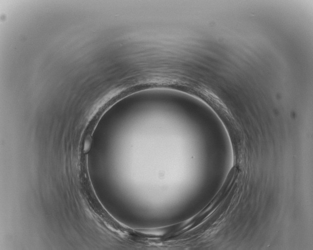 X0000060760484200511171152