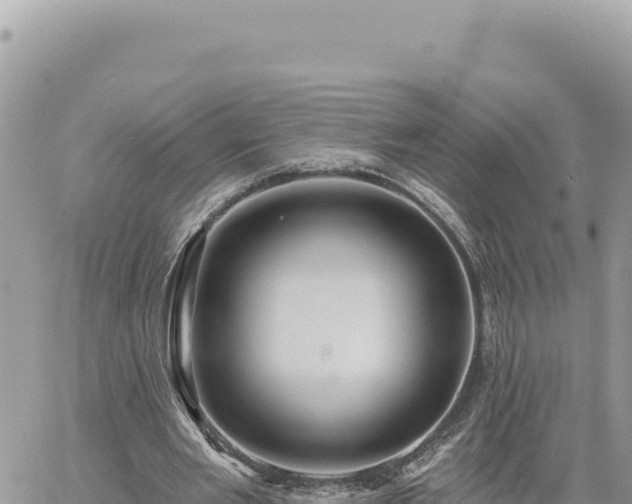 X0000060760485200511171152