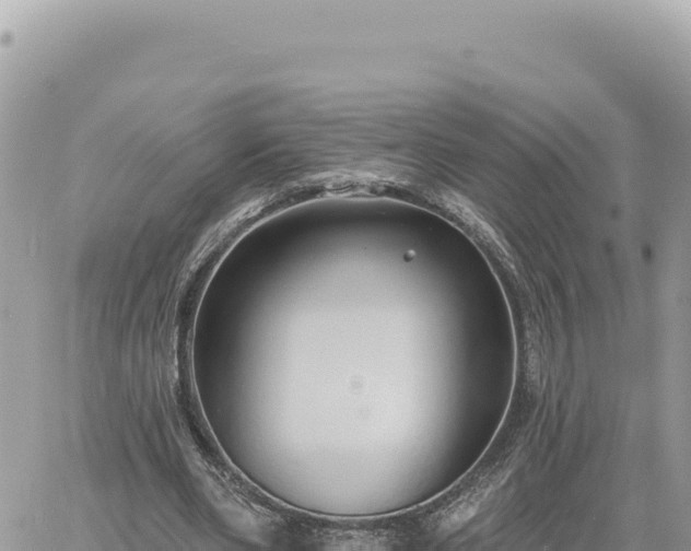 X0000060760486200511171152