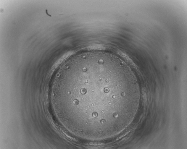 X0000060760487200511171152