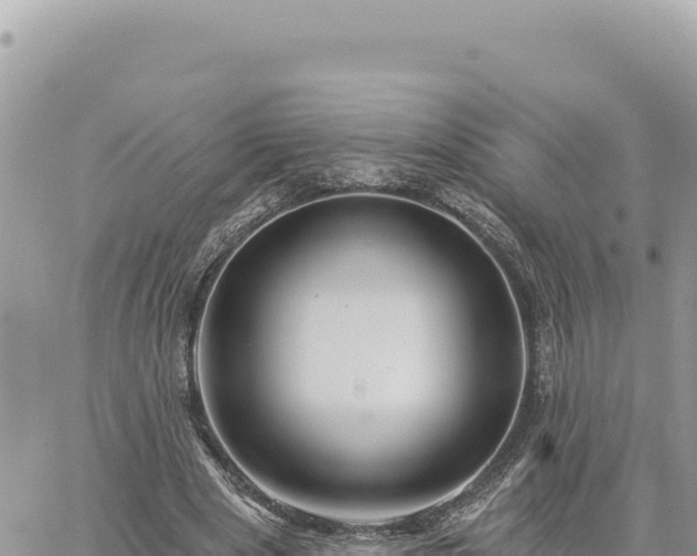 X0000060760489200511171151