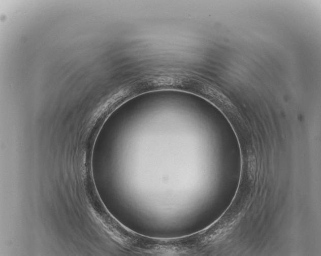 X0000060760490200511171151