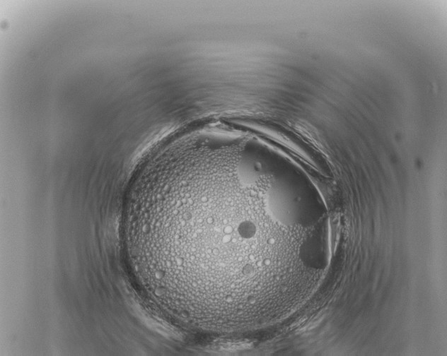 X0000060760491200511171151